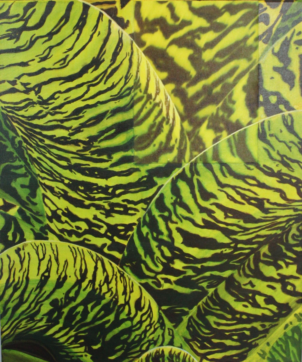 The Detail of His Creation, a close-up painting of striped bromeliad leaves