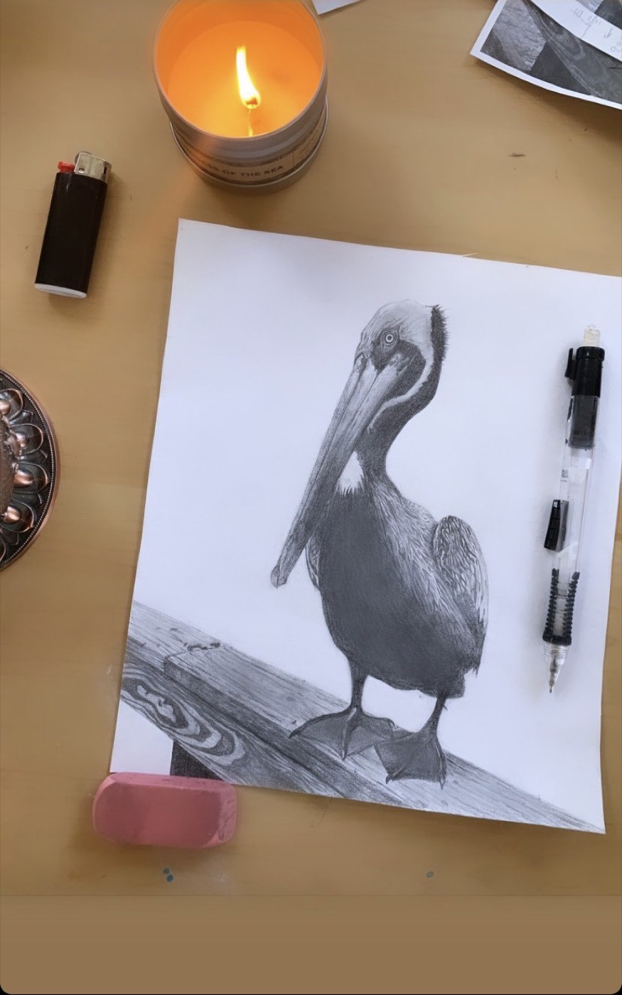 Pelican, a graphite drawing of a pelican standing on a dock railing
